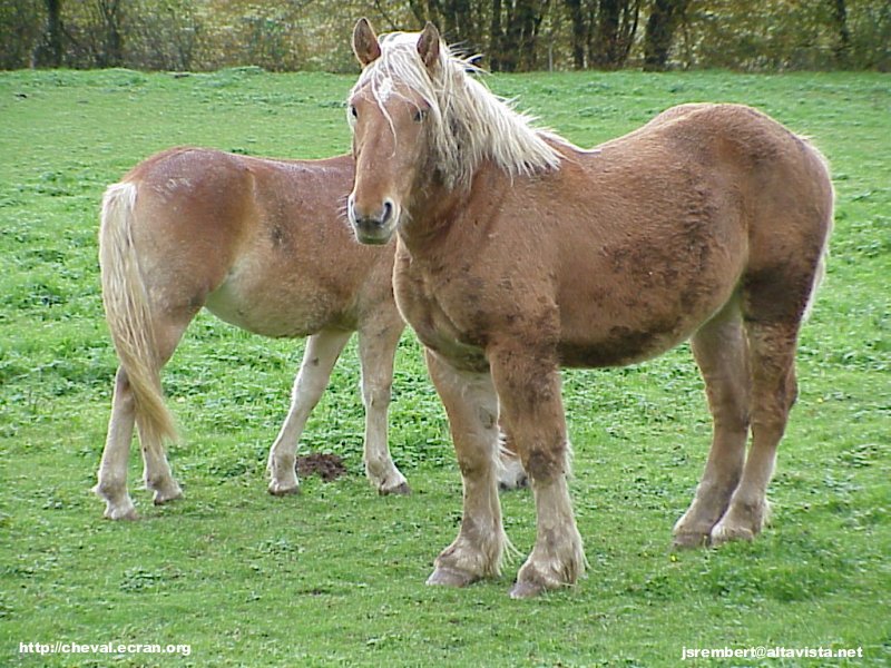 1024_fonds_ecran_wallpaper_fonds d'écran_fond d'ecran_fonds d'ecran_wallpaper_wallpapers_fond_écran_ecran_fonds_écrans_ecrans